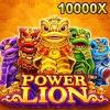 POWER LION